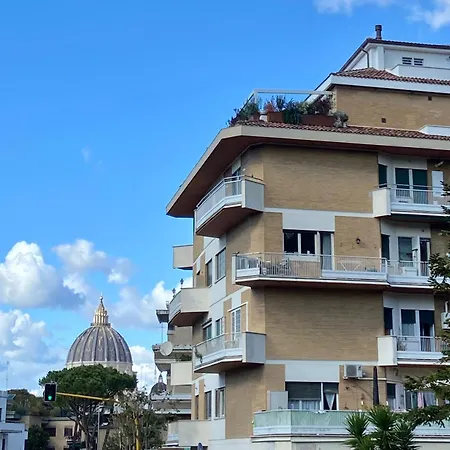 Domes St Peter Vatican 