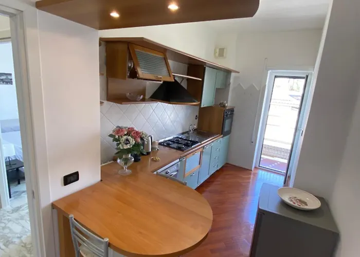 Domes St Peter Vatican 