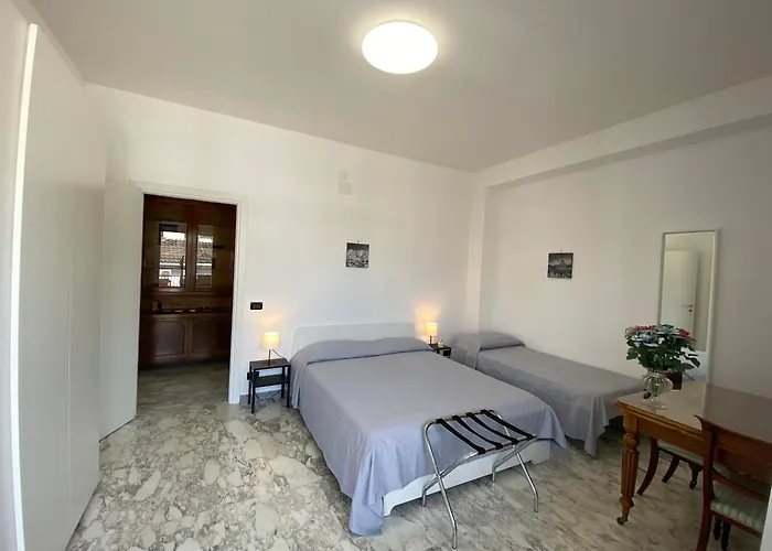 Domes St Peter Vatican 